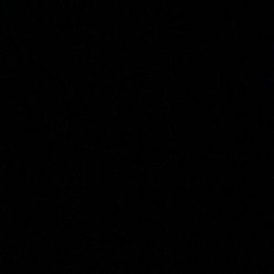 Meet your Posher, Shamun